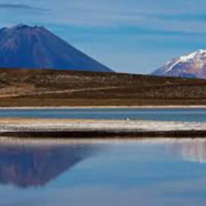 Salinas Lagoon - Salt Mirrors, Andean Flamingos and Southern Volcanoes - Full Day