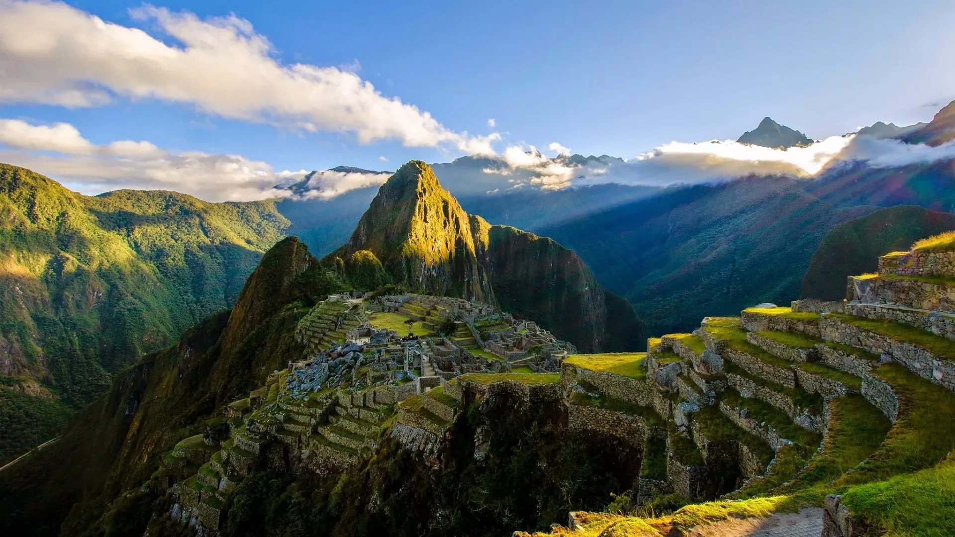 Mapi